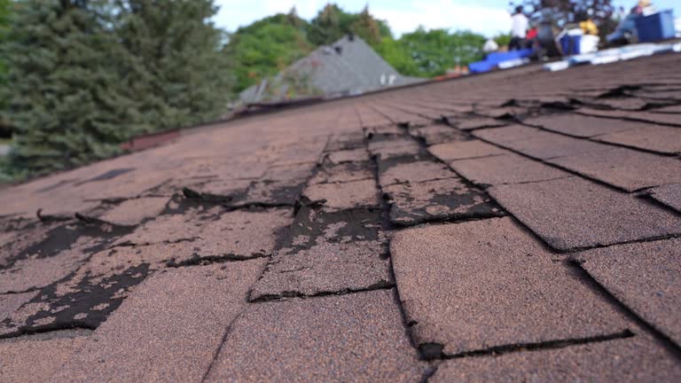 Best Storm Damage Roof Repair  in Colchester, IL